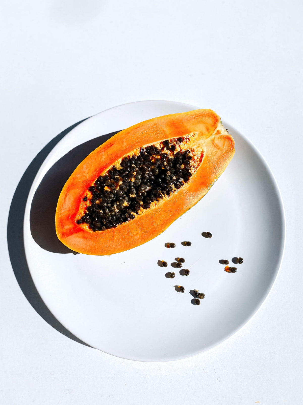 Women’s Longevity: Supporting a Healthier, Longer Life